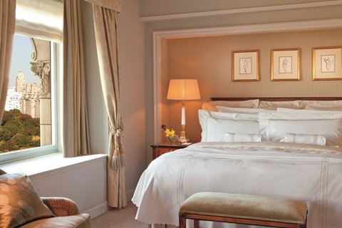 THE RITZ-CARLTON CENTRAL PARK - Photo 39
