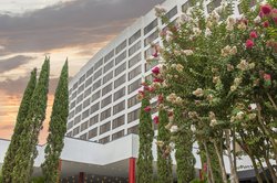  - Omni Hotel Houston