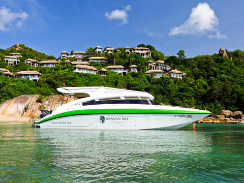 BANYAN TREE SAMUI - Photo 107