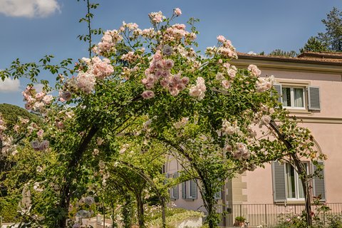 VILLA CORA - Photo 5