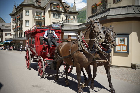 MONT CERVIN PALACE - Photo 65