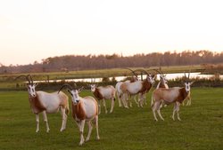  - Holiday Inn Express & Suites South Lakeland