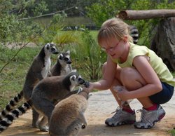  - Holiday Inn Express & Suites South Lakeland