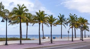 Ocean Beach Palace Hotel Fort Lauderdale Fl See Discounts