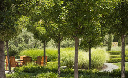  - Rosewood Sand Hill Hotel Menlo Park - I-280, Exit 24