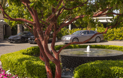 ROSEWOOD SAND HILL - Photo 11