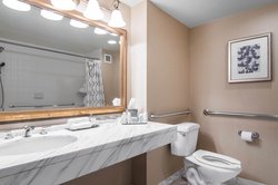  - Omni Mandalay Hotel Irving