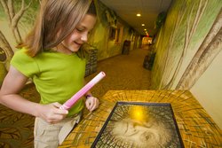  - Great Wolf Lodge New England Fitchburg