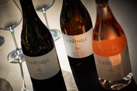 DOMAINE DE FONTENILLE - Photo 24