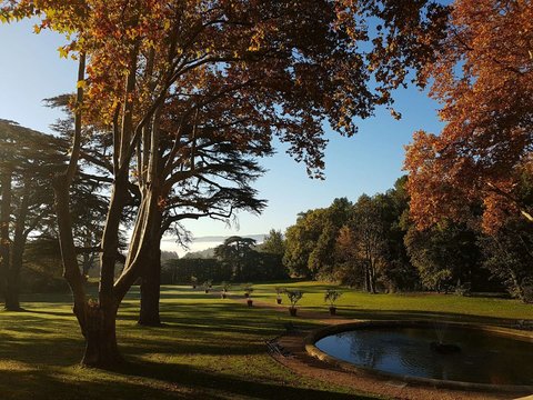 DOMAINE DE FONTENILLE - Photo 38