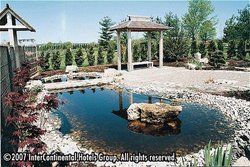  - Staybridge Suites Guelph