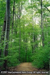  - Staybridge Suites Oakville