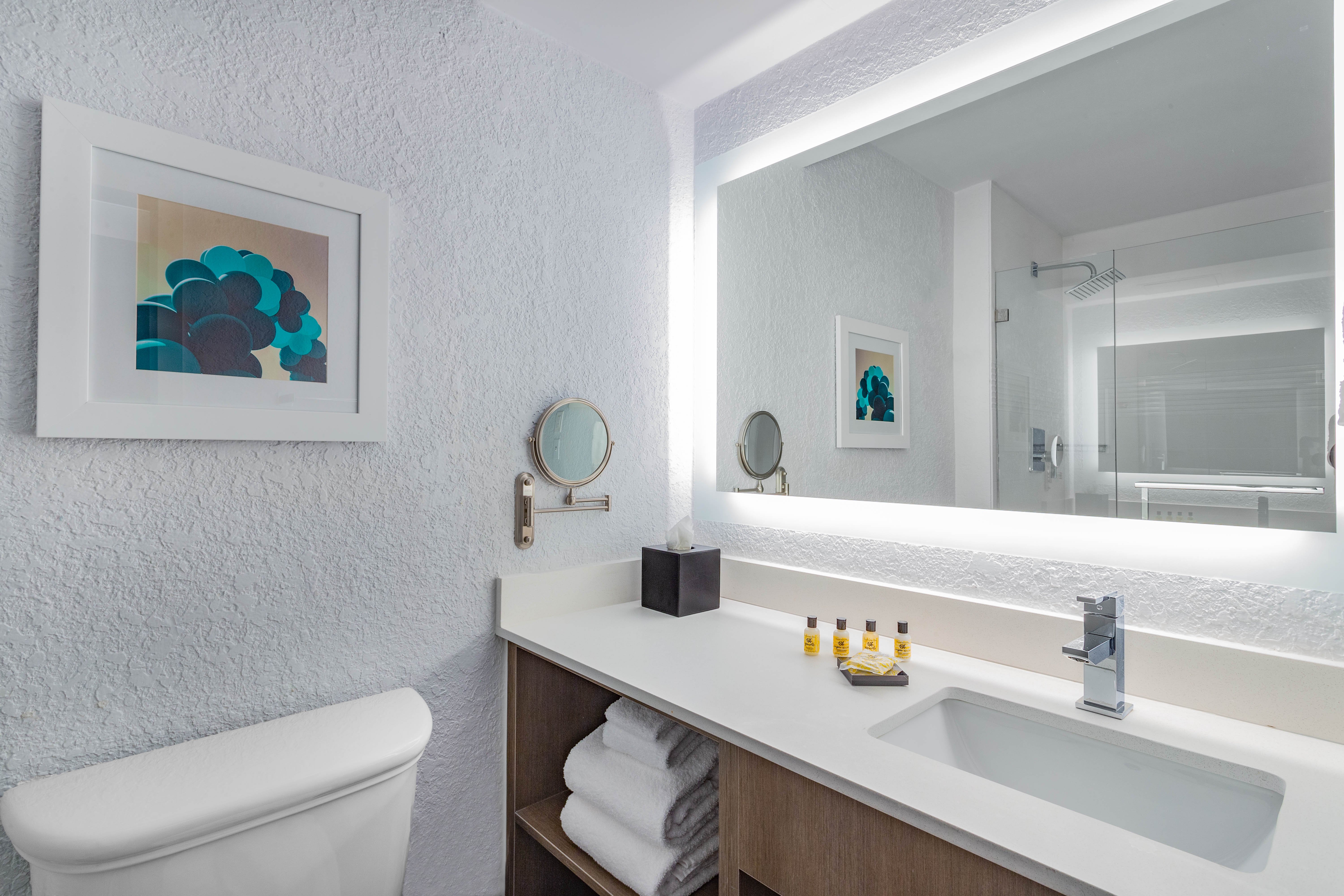 HOLIDAY INN RESORT KISSIMMEE BY IHG-guestroom-Guest Bathroom.jpg