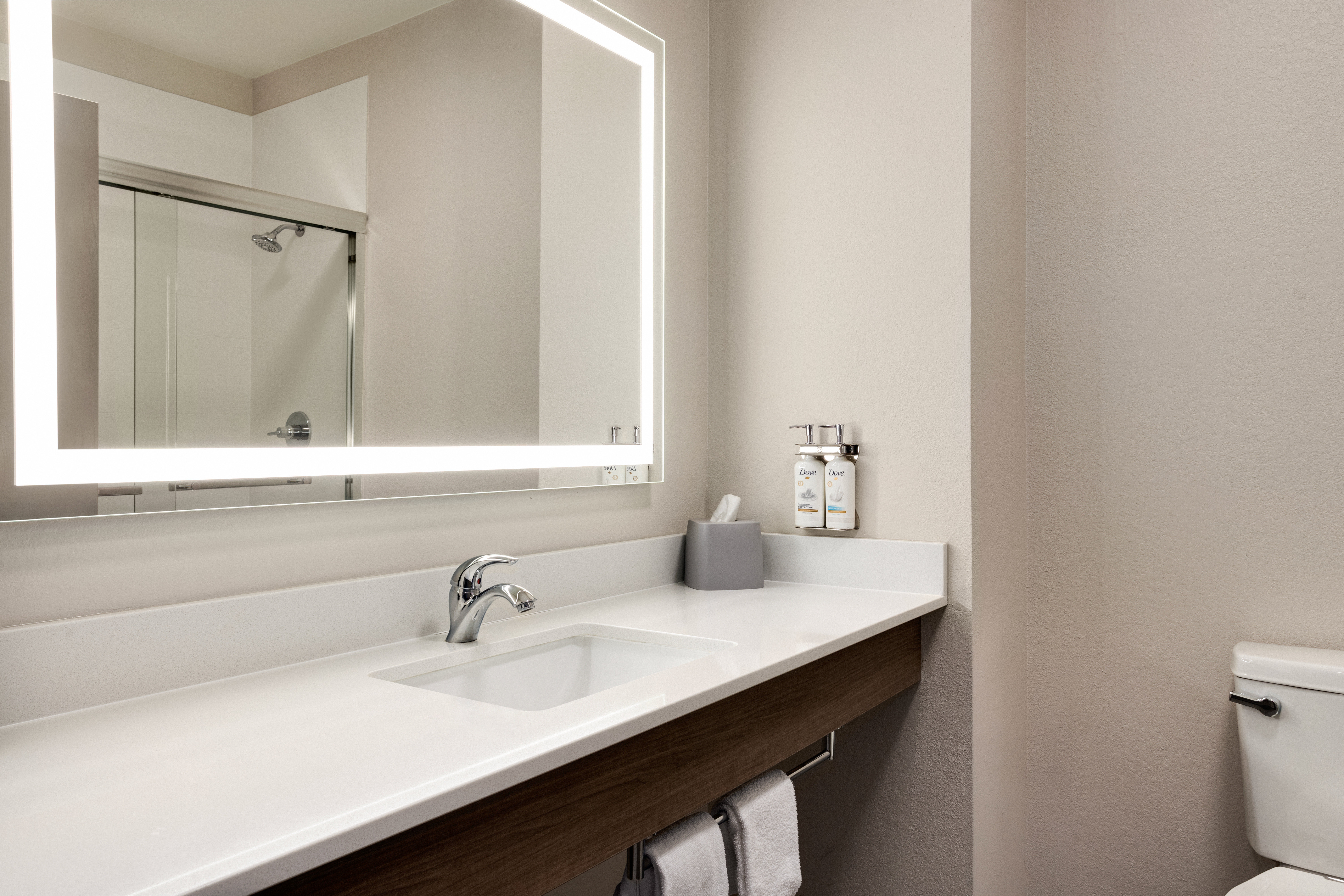 HOLIDAY INN EXP STES FORRESTAR-guestroom-Recharge in our spacious guest bathroom..jpg