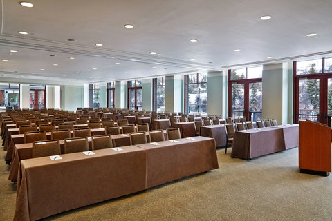 THE WESTIN RIVERFRONT RESORT - Photo 87