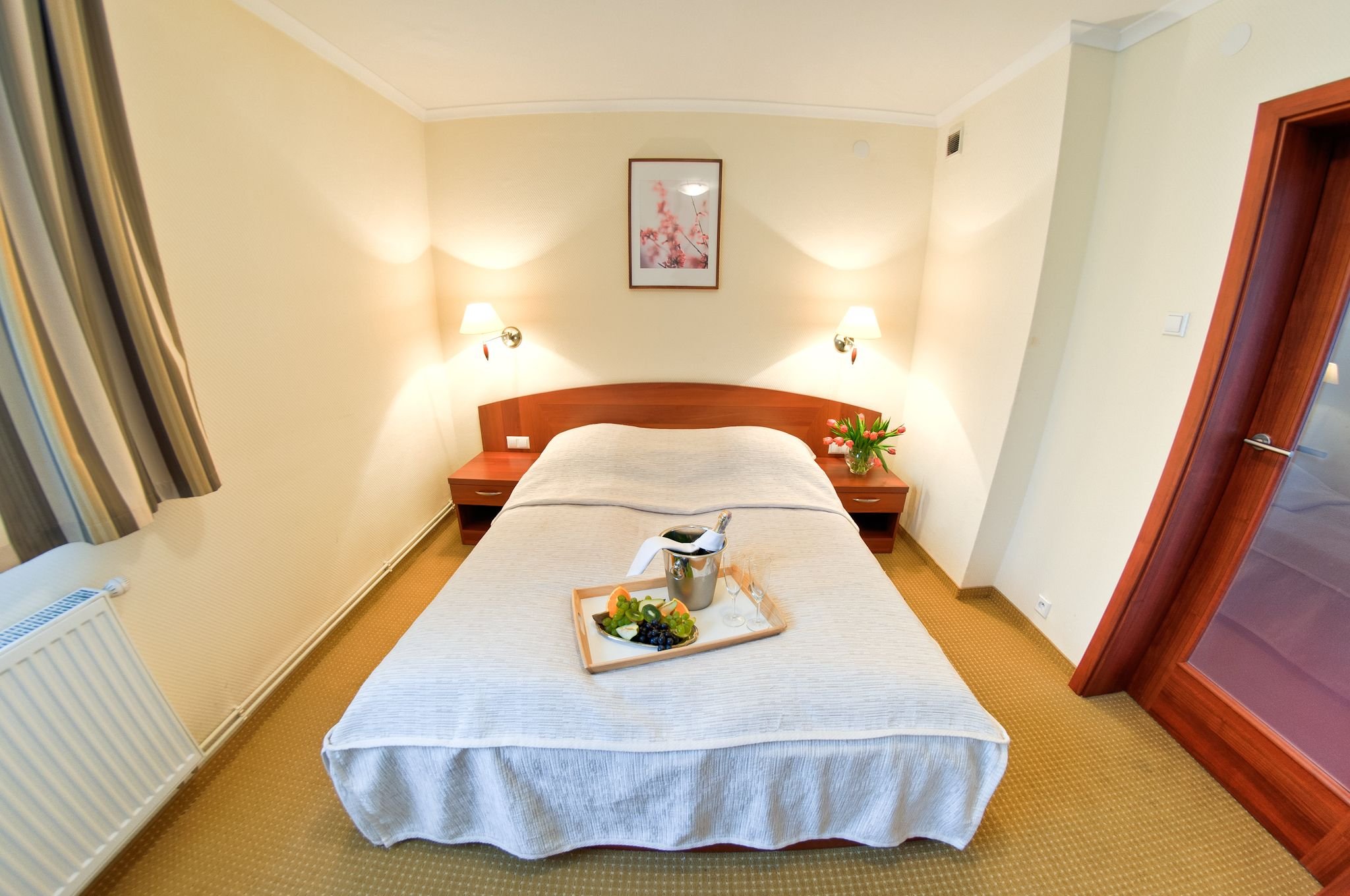 HOTEL ARENA SPA AND WELLNESS TYCHY-guestroom-DOUBLE STANDARD ROOM.jpg
