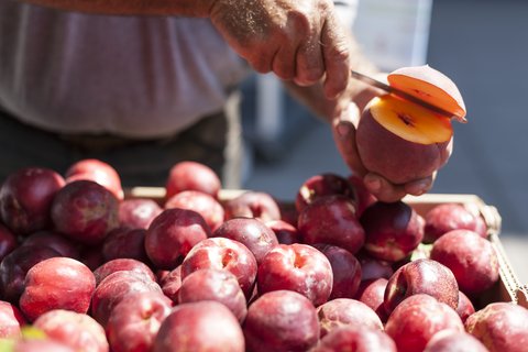 ROSEWOOD SAND HILL - Photo 54