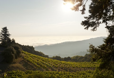 ROSEWOOD SAND HILL - Photo 57