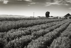  - Rosewood Sand Hill Hotel Menlo Park - I-280, Exit 24