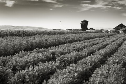 ROSEWOOD SAND HILL - Photo 59