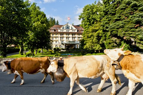 LE GRAND BELLEVUE - Photo 77