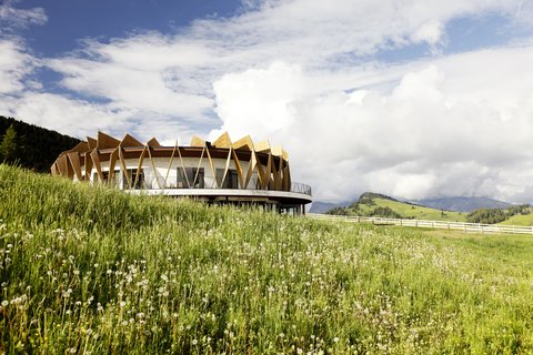 COMO ALPINA DOLOMITES - Photo 41