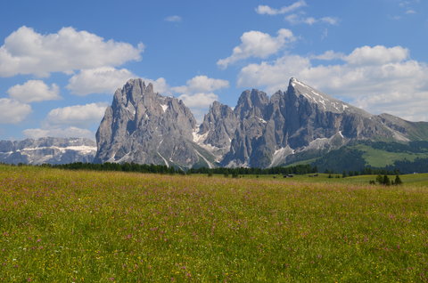 COMO ALPINA DOLOMITES - Photo 46
