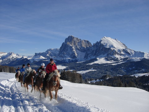 COMO ALPINA DOLOMITES - Photo 47