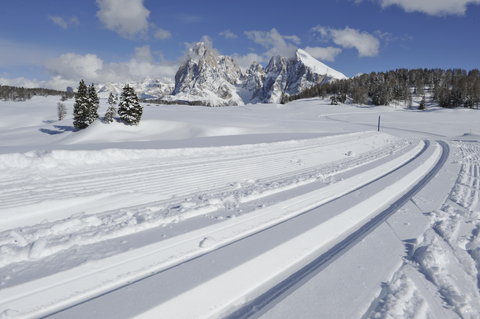 COMO ALPINA DOLOMITES - Photo 48