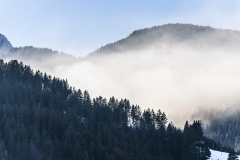 LE GRAND BELLEVUE - Photo 73