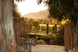  - Bernardus Lodge Carmel Valley
