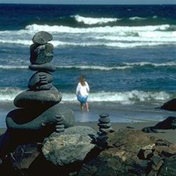  - Elmwood Resort Hotel Wells