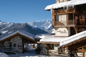 LE CHALET D ADRIEN