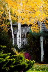  - Pine Ridge Inn Bend