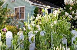  - Cottages at Cabot Cove Kennebunkport