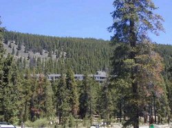  - Aspen Ridge Condos Dillon