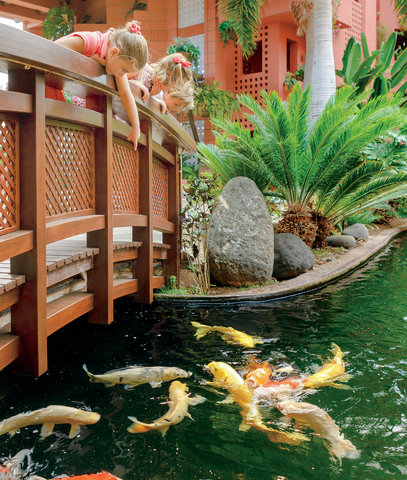 THE RITZ-CARLTON TENERIFE, ABAMA - Photo 61