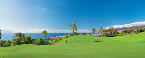 THE RITZ-CARLTON TENERIFE, ABAMA - Photo 77