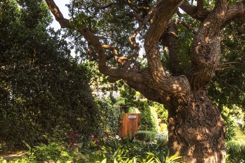 SAN YSIDRO RANCH - Photo 127