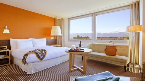INTERCONTINENTAL GENEVA - Photo 51