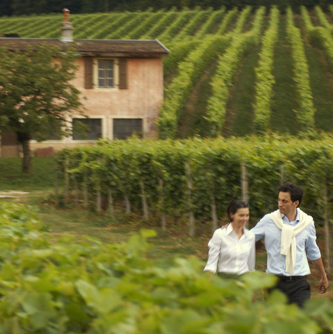 INTERCONTINENTAL GENEVA - Photo 114