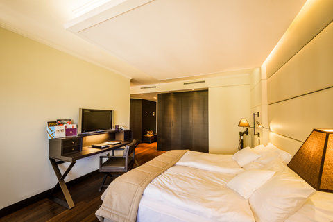 LAUSANNE PALACE - Photo 42