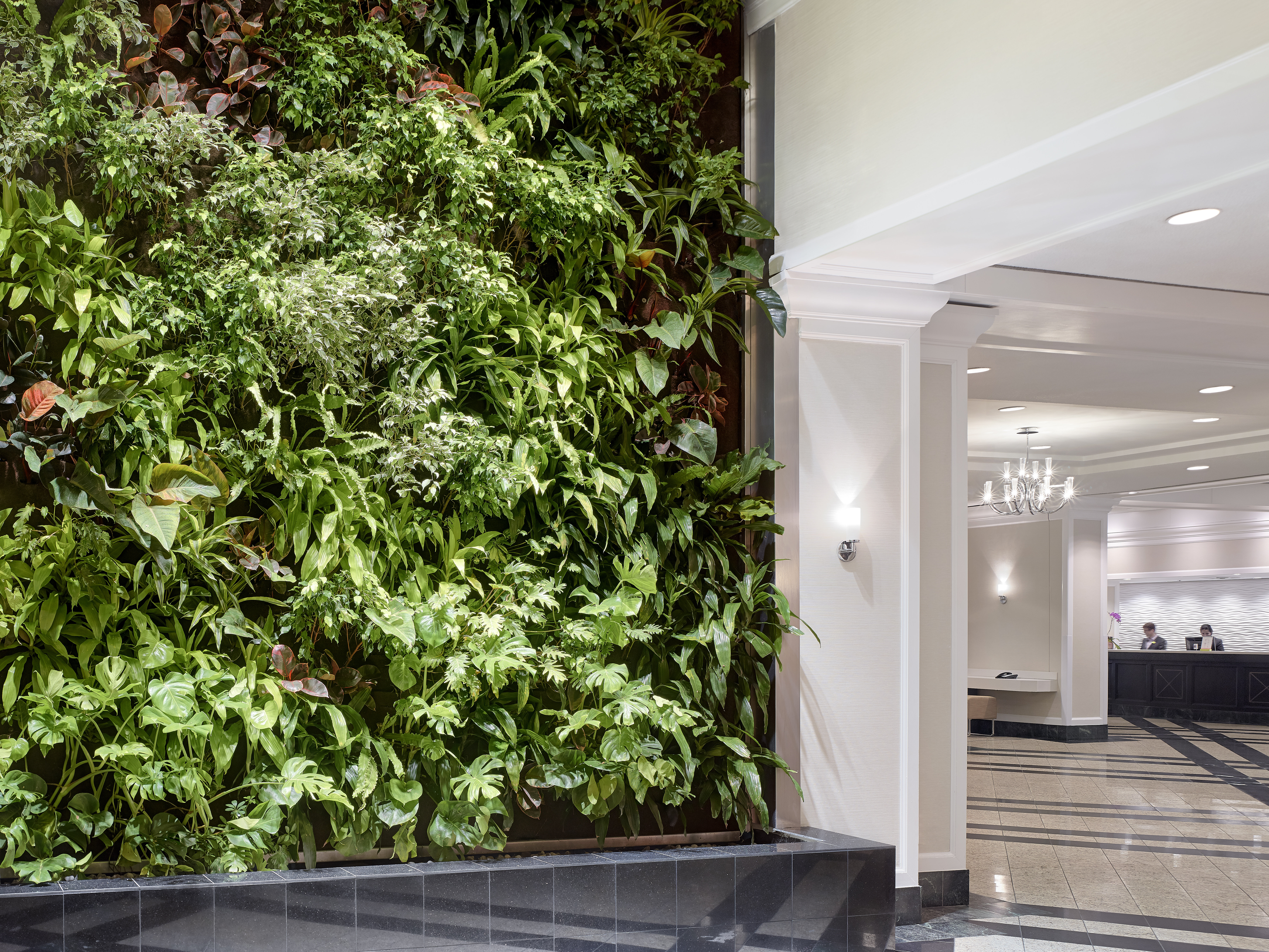 Green Wall in the Lobby