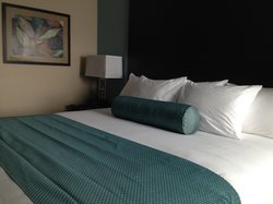  - Cobblestone Inn & Suites Fort Dodge