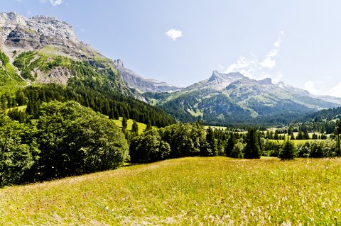 LE GRAND BELLEVUE - Photo 62