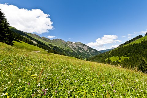 LE GRAND BELLEVUE - Photo 63