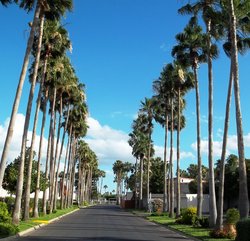  - Victoria Palms Inn Donna