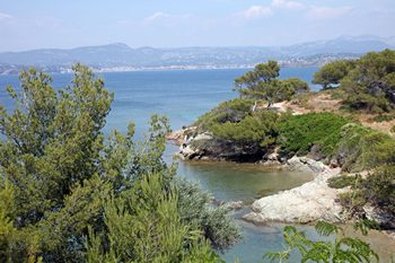 View