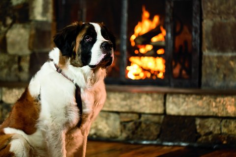 THE RITZ-CARLTON BACHELOR GULCH - Photo 41