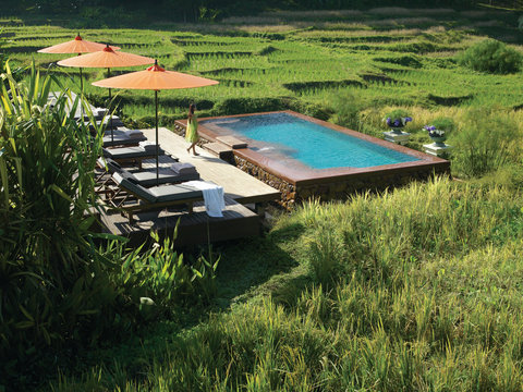 FOUR SEASONS RESORT CHIANG MAI - Photo 38